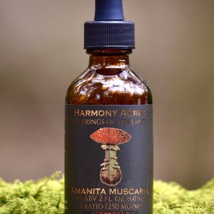 Amanita Muscaria tincture
