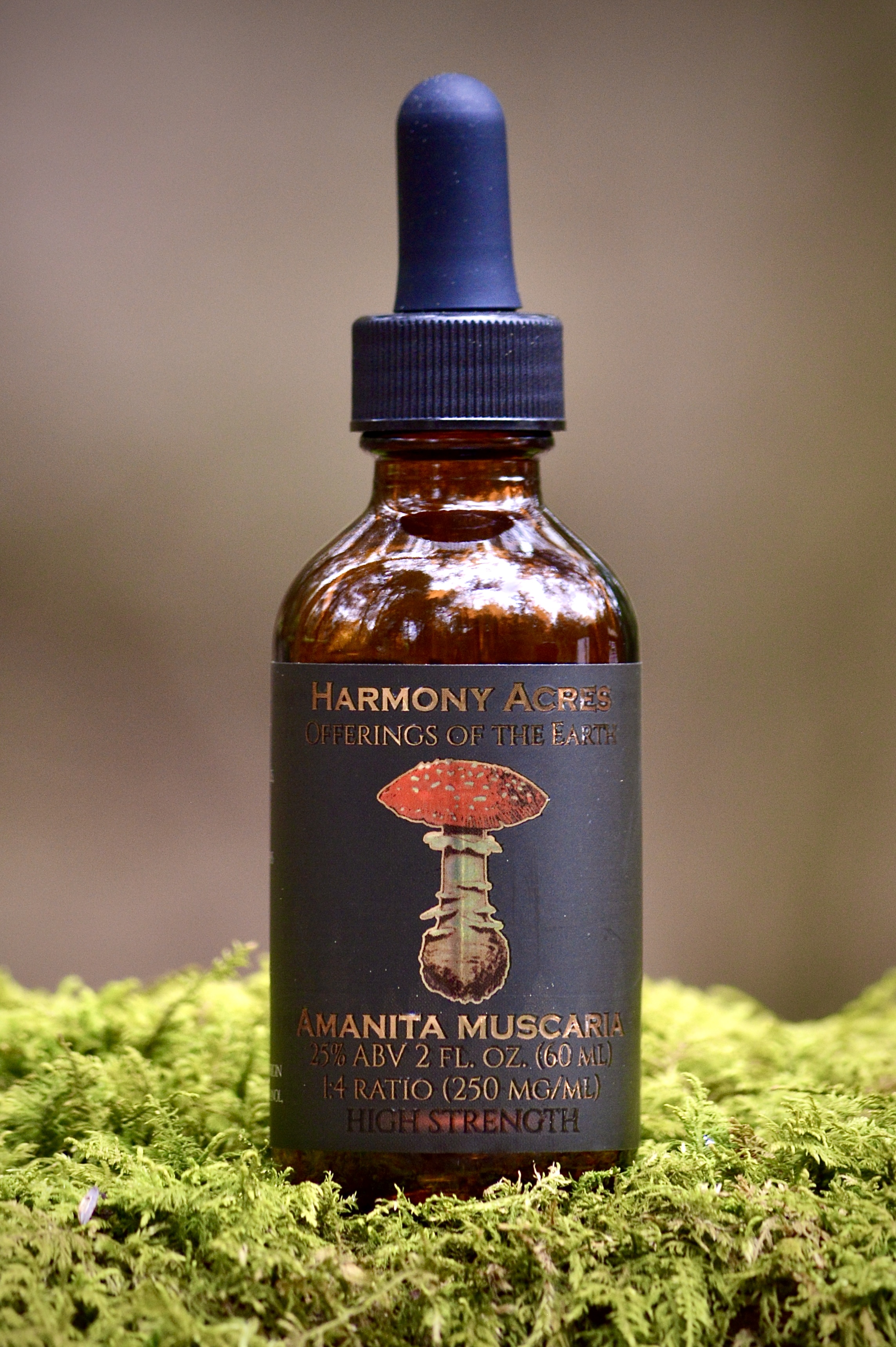 Amanita Muscaria tincture