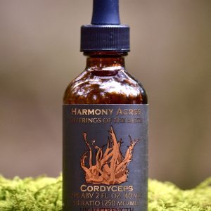 Cordyceps Tincture