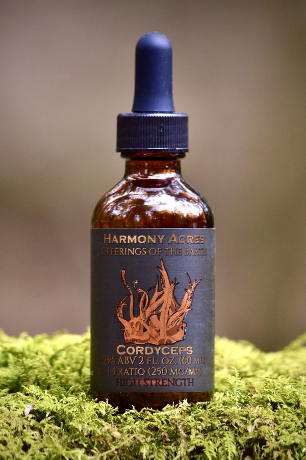 Cordyceps Tincture