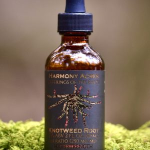 Japanese Knotweed Root Tincture