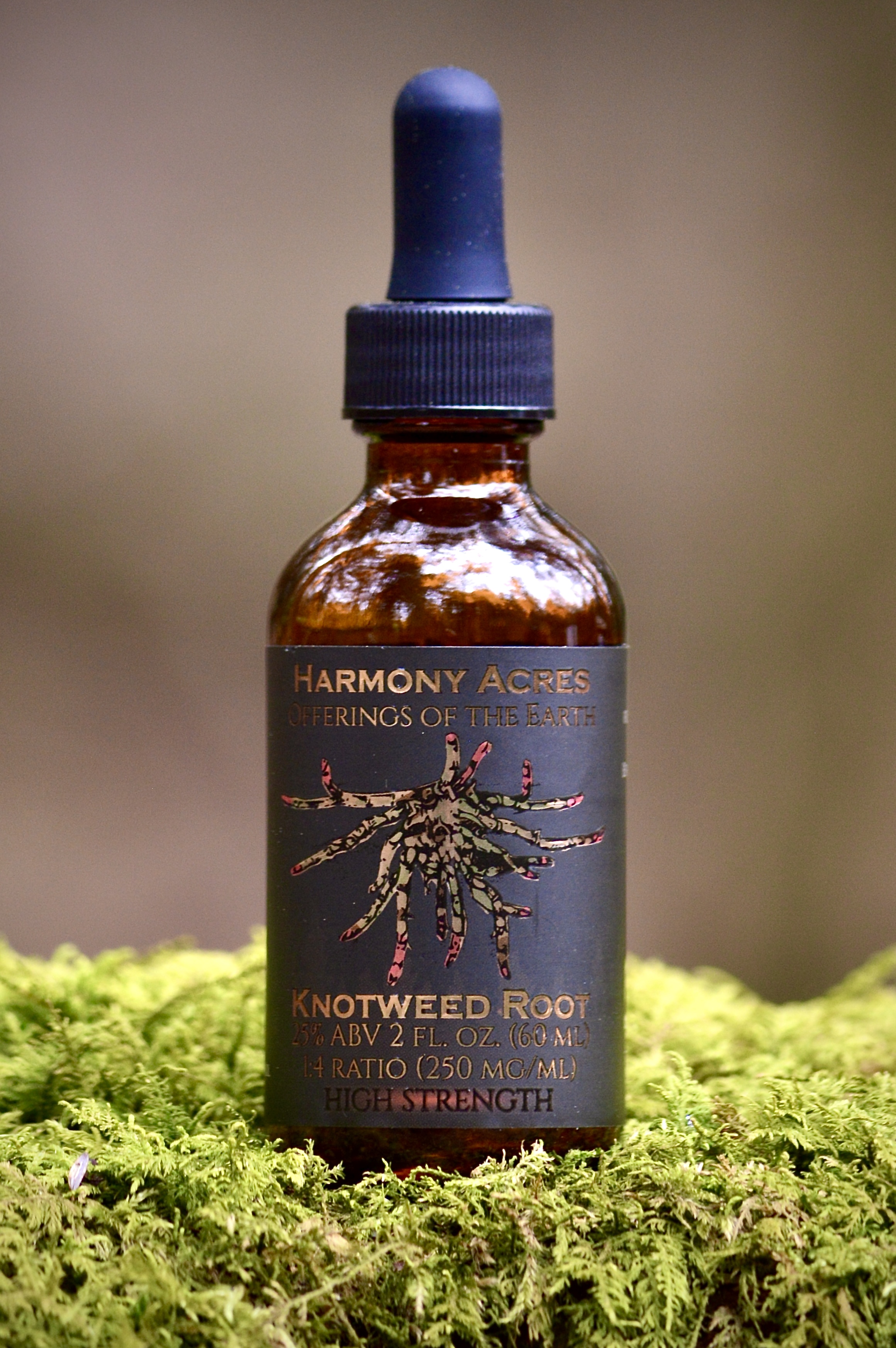 Japanese Knotweed Root Tincture