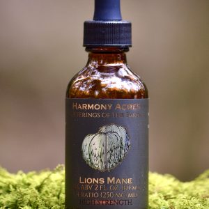 Lion's Mane Tincture