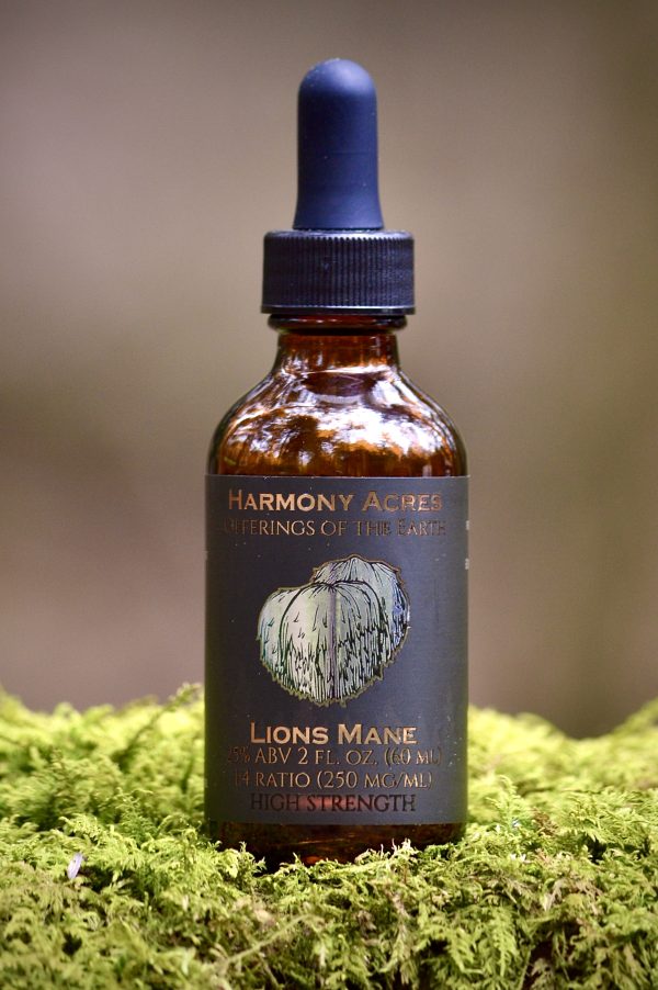 Lion's Mane Tincture