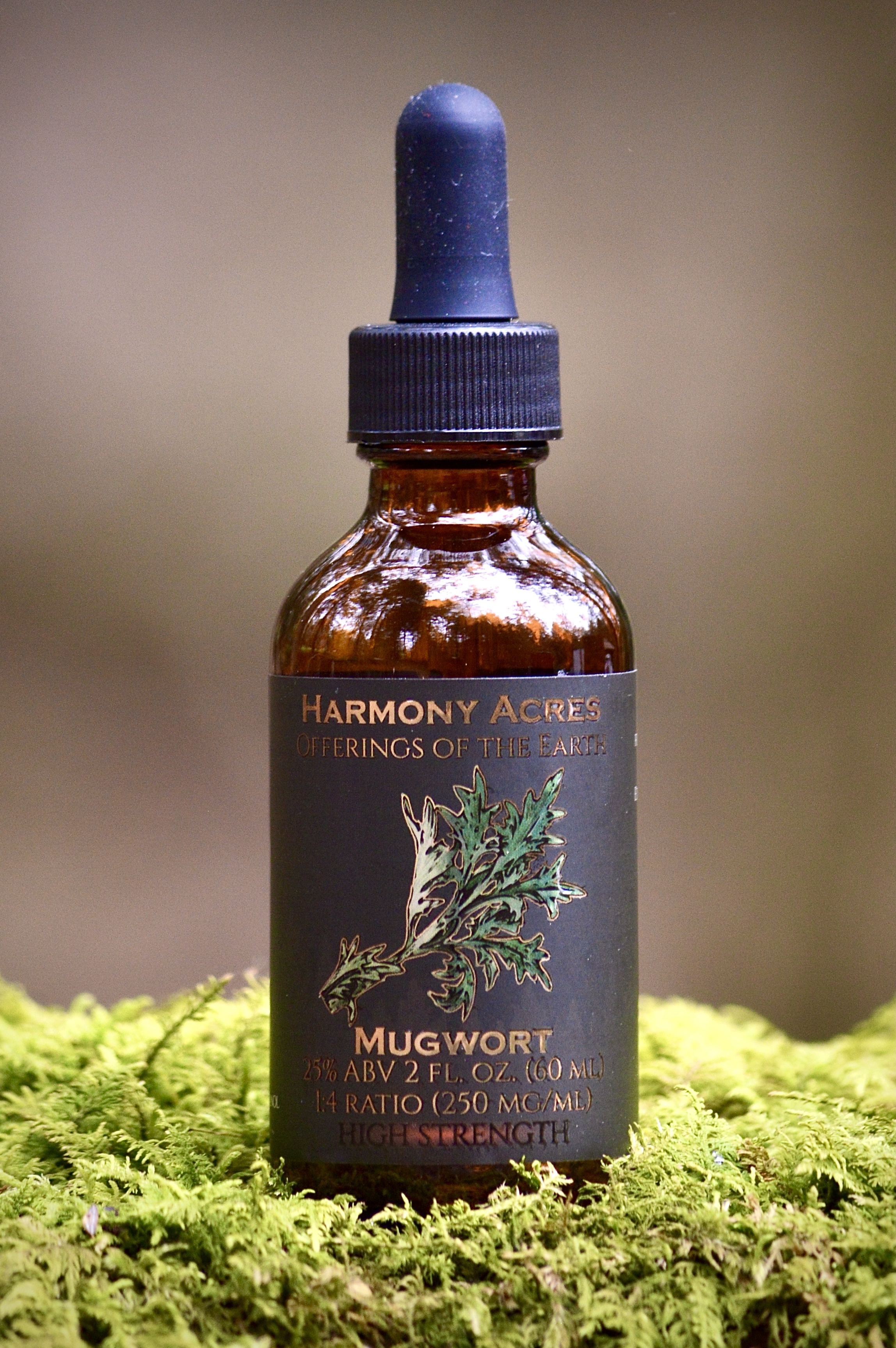 Mugwort Tincture