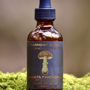 Amanita Pantherina tincture 1:4
