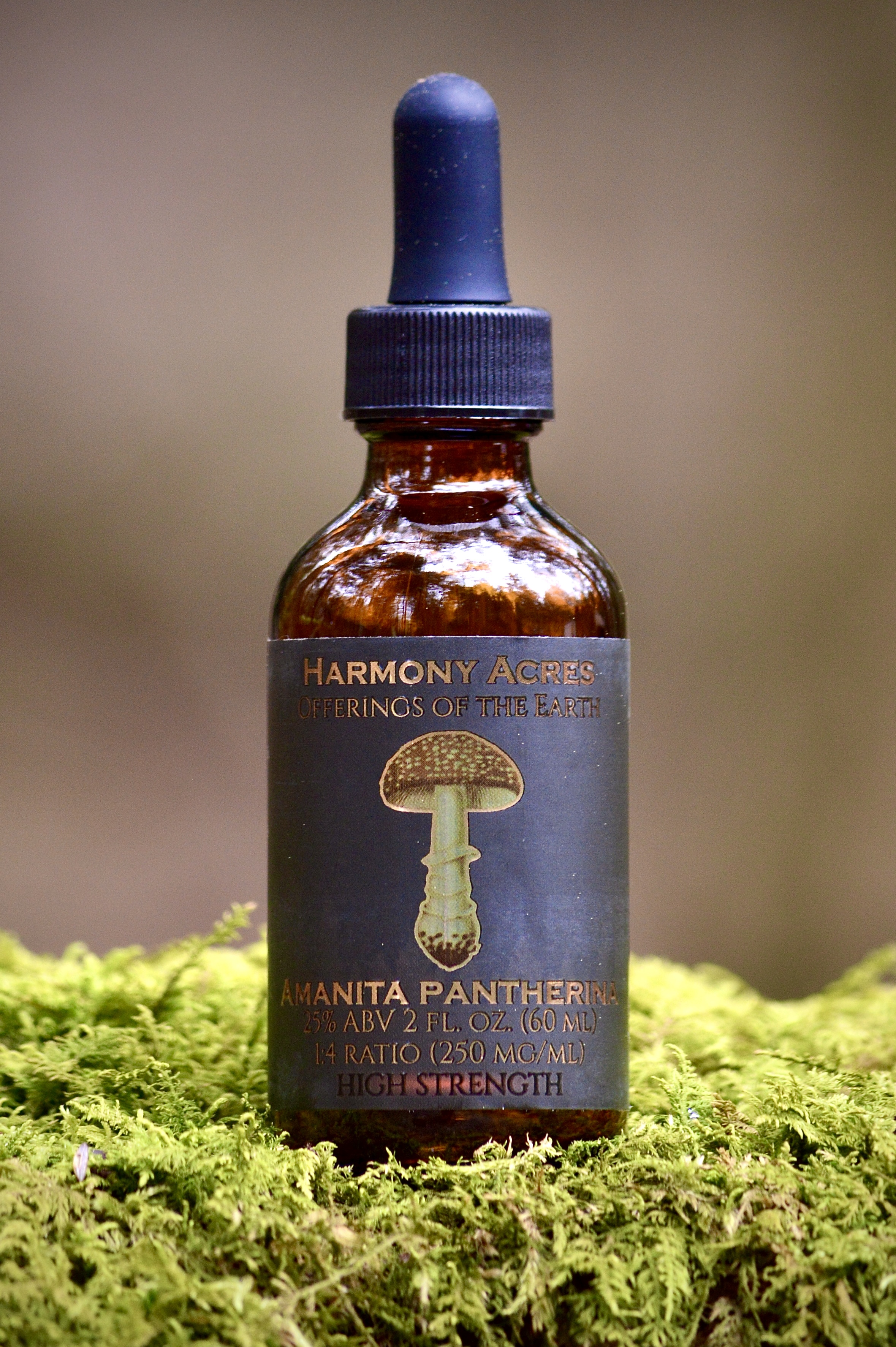 Amanita Pantherina tincture 1:4