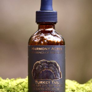 Wild Turkey Tail Tincture