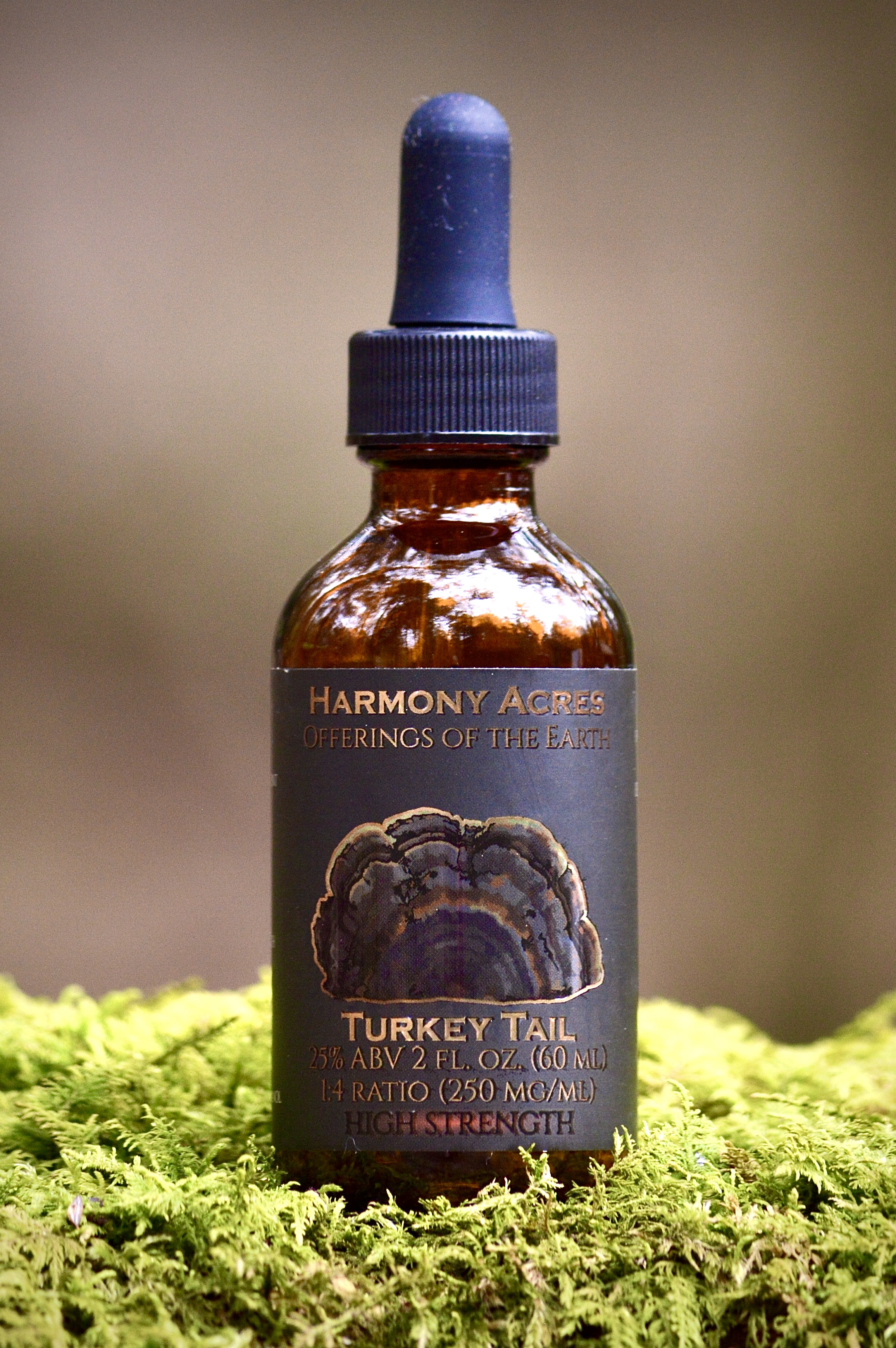 Wild Turkey Tail Tincture
