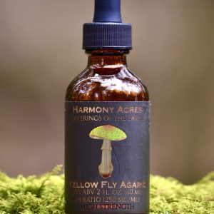 Yellow Fly Agaric tincture 1:4