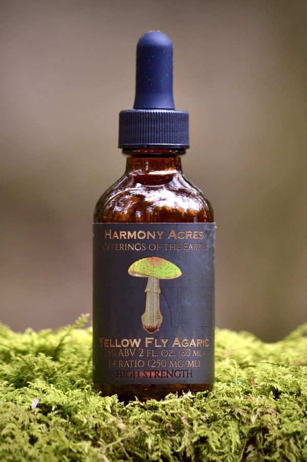 Yellow Fly Agaric tincture 1:4
