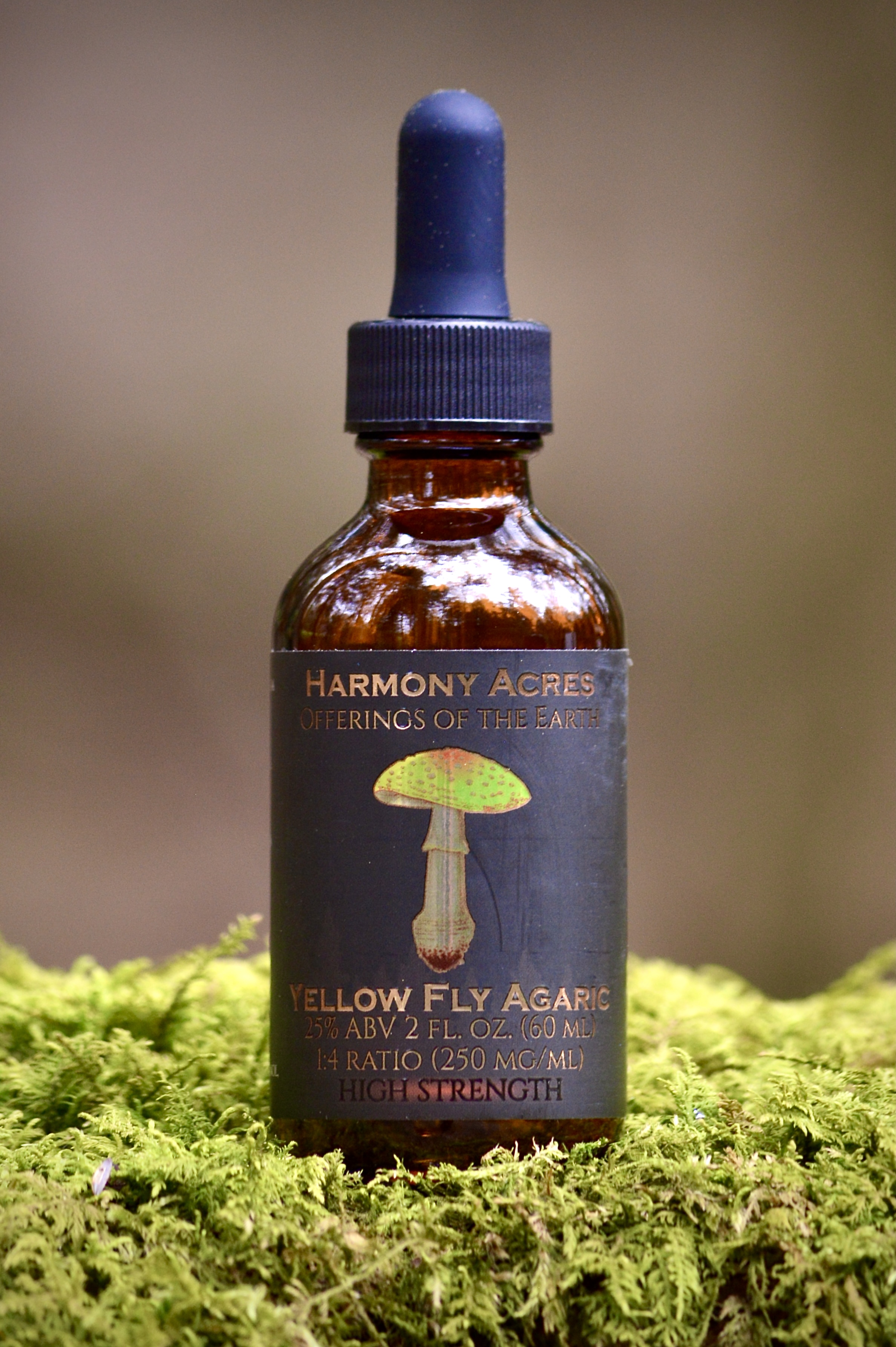 Yellow Fly Agaric tincture 1:4