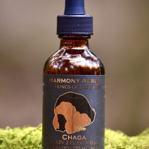 Wild Chaga Tincture