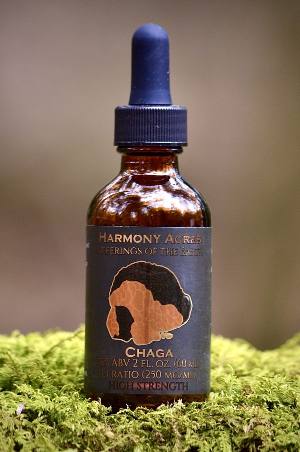 Wild Chaga Tincture