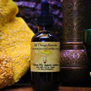 Yellow Fly Agaric tincture 2 oz