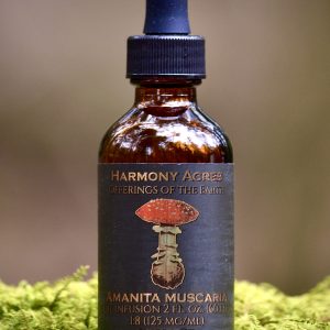 Organic Amanita Muscaria Jojoba Oil Infusion
