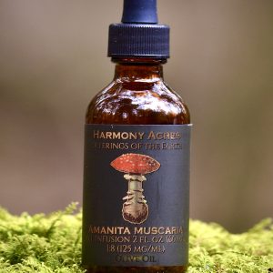 Organic Amanita Muscaria Olive Oil Infusion